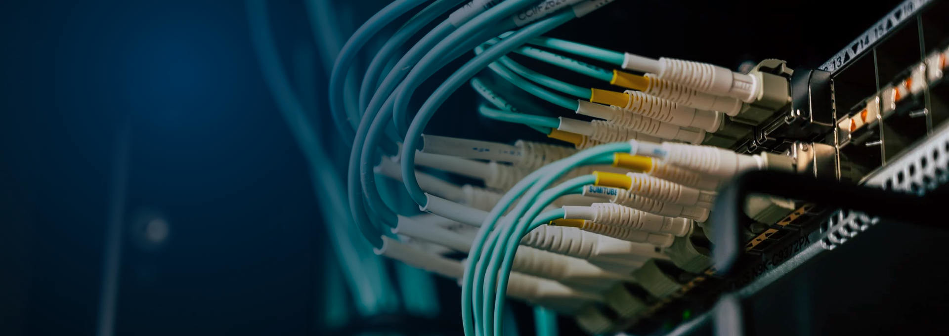 Chất lượng Bảng bến tàu tải Nhà máy