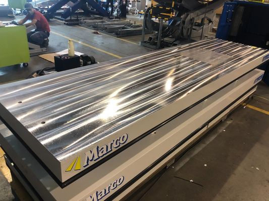 Customized Request Twin Scissor Lift Table Double Scissor with Safety Frame 3650x1000mm