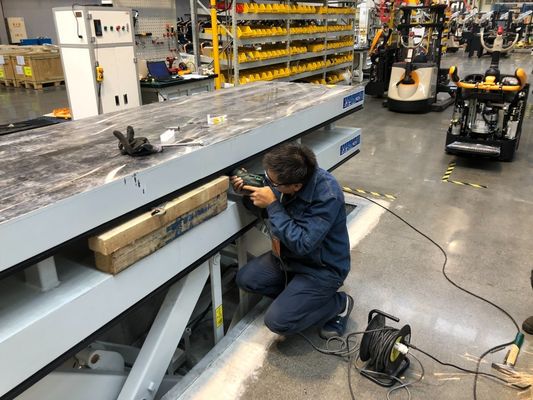 Customized Request Twin Scissor Lift Table Double Scissor with Safety Frame 3650x1000mm