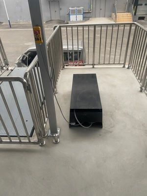 1 Tonnen elektrische hydraulische Schere mit stationärem Design und CE-Zertifikat